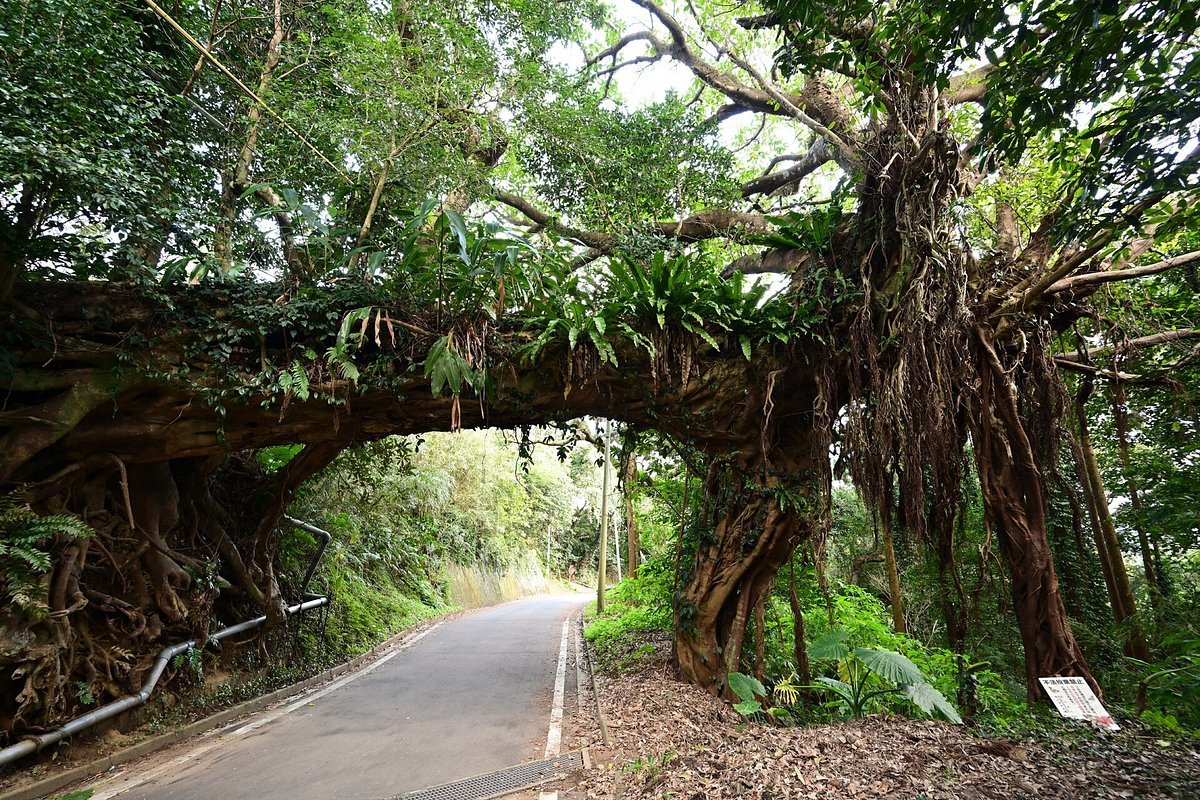 ⛩️ 오쿠 신사(구니가미 오쿠진자)